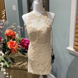 Cinderella Divine Dress